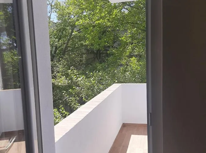 Center サンダンスキ